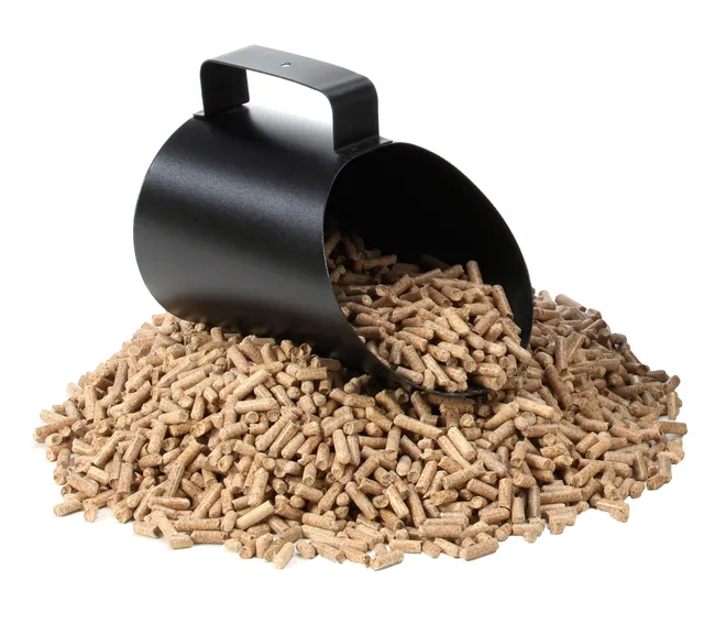 media-6.webp Paleta Metálica Pellets DIXNEUF Pelleo 20x12x16 cm - Imagen 1